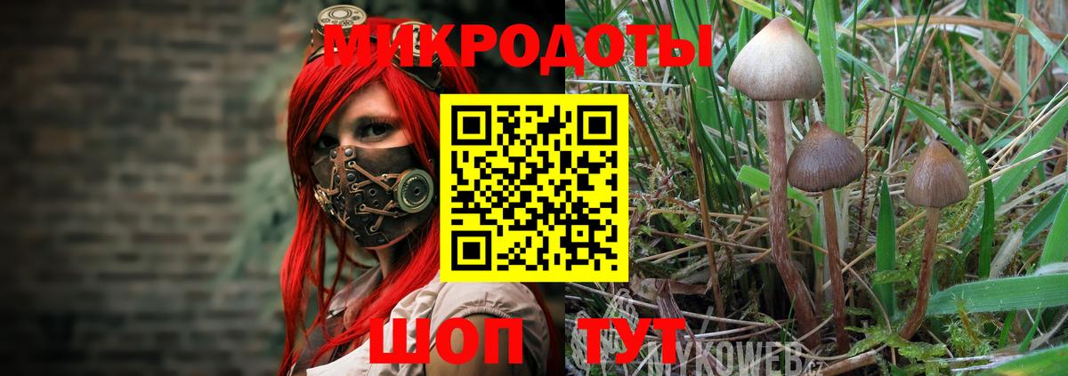 Галлюциногенные грибы MAGIC MUSHROOMS Домодедово